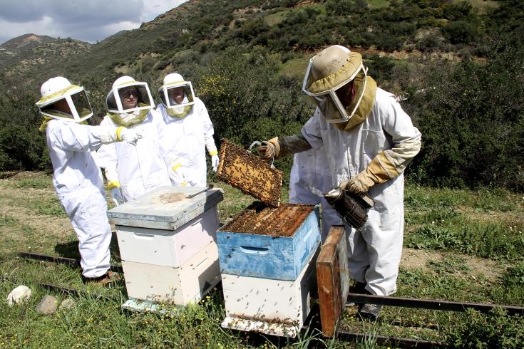 Τα μελισσοχώρια της ορεινής Λάρνακας