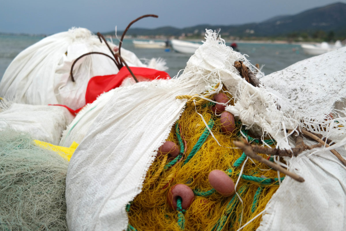 Η παράνομη αλιεία τορπιλίζει τον καταδυτικό τουρισμό της Λάρνακας (φώτο)