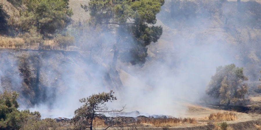 Φονική πυρκαγιά: 14 ημέρες μετά εντοπίστηκε πρέμνο ελιάς να σιγοκαίει (ΒΙΝΤΕΟ)