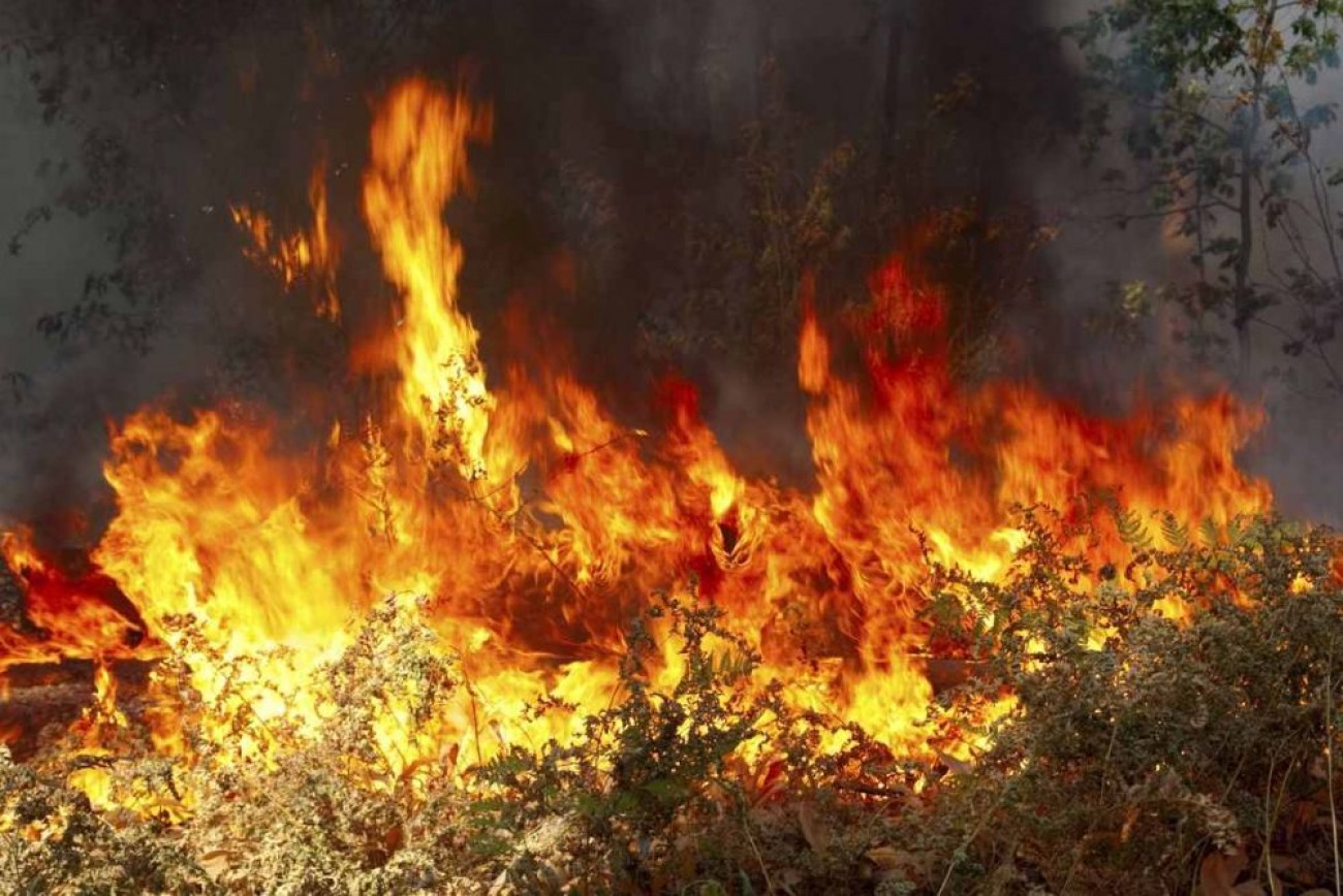 Πετρολίνα: Συνδράμει με ανεφοδιασμό των πτητικών μέσων που επιχειρούν κατασβέσεις
