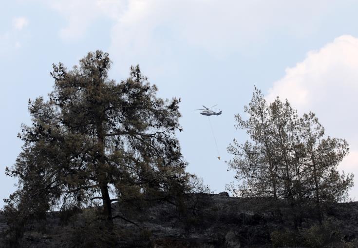 Απαντά στα περι ολιγωρίας η κυβέρνηση για κατάσβεση της φονικής πυρκαγιάς