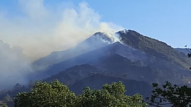 Ποσό 900 χιλιάδων ευρώ δώρισαν εταιρείες ICT για τα θύματα της πυρκαγιάς