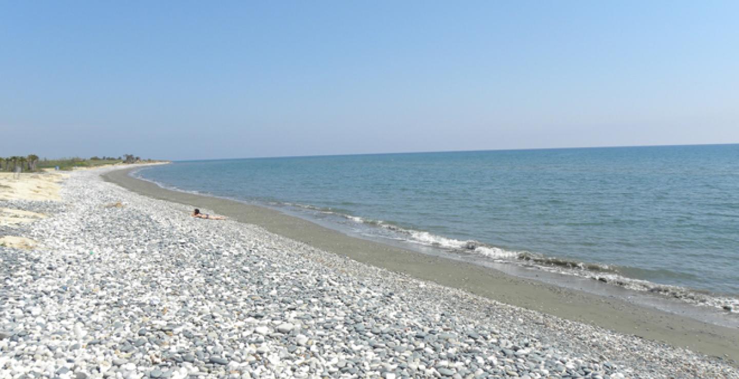 Η νέοι καθαρίζουν την παραλία του Μαζωτού