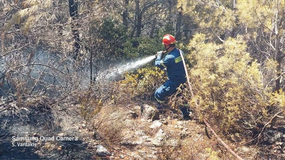 Τα μέλη της κυπριακής αποστολής είναι καλά στην υγεία τους, λέει στο ΚΥΠΕ η Εκπρόσωπος Τύπου ΠΑ