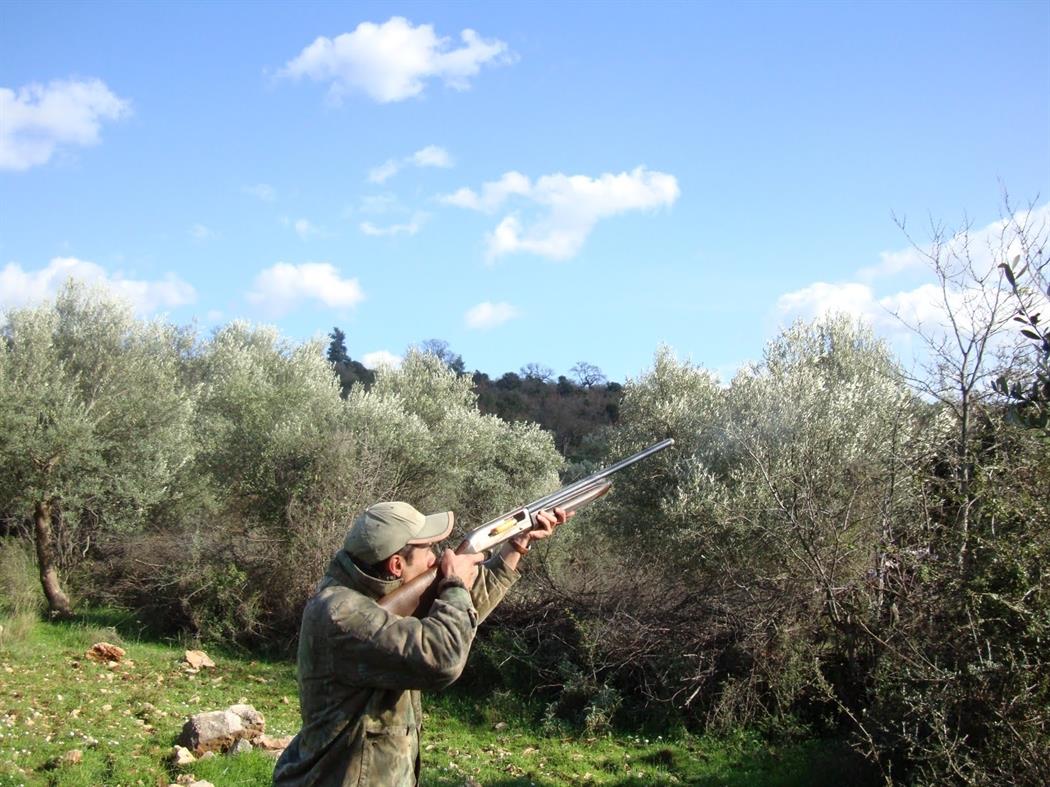 Με εφαρμογή στο κινητό το κυνήγι τρυγονιών στην Κύπρο- Αναλυτικά η διαδικασία