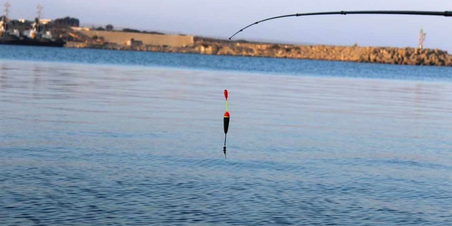 Με λαβράκια γέμισαν οι ακτές σε Λάρνακα και Λεμεσό (βίντεο)