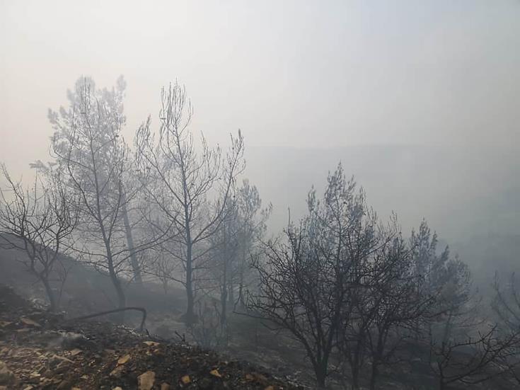 Σε επίπεδο «Κόκκινου Συναγερμού» παραμένει ο κίνδυνος πρόκλησης δασικών πυρκαγιών
