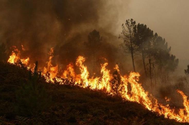 Σε επίπεδο «Κόκκινου Συναγερμού» ο κίνδυνος πρόκλησης δασικών πυρκαγιών