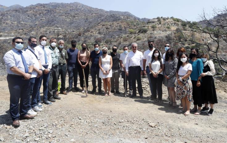Νέοι της Διασποράς θα δεντροφυτεύσουν την καμένη γη στην περιοχή Οδού