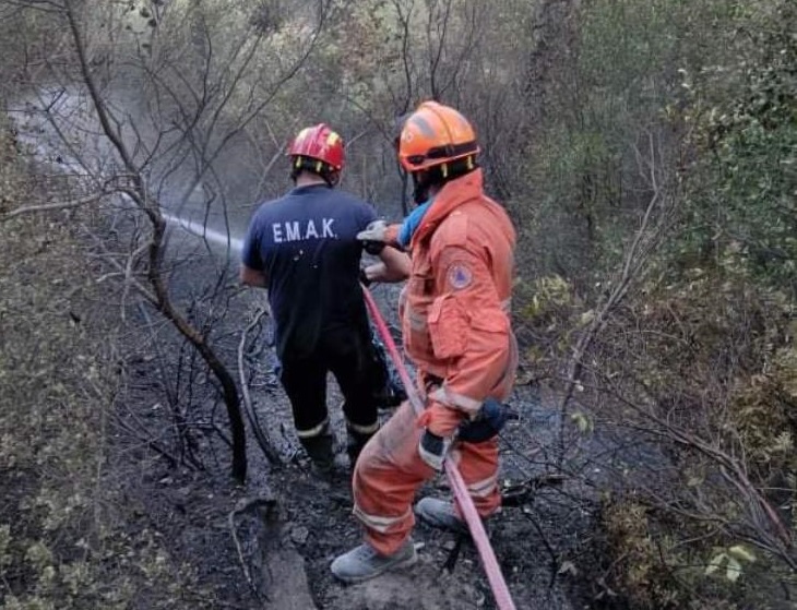 Αναμένονται στην Κύπρο 5 μέλη της κυπριακής αποστολής στην Ελλάδα