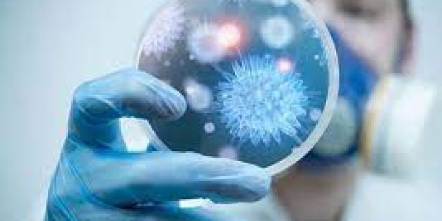 d7b952b94f2cc80c303dbab25847bbcb