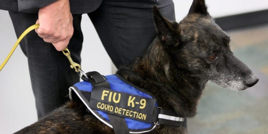 daf5f63073b9d9459f1d8f6b528a25ab