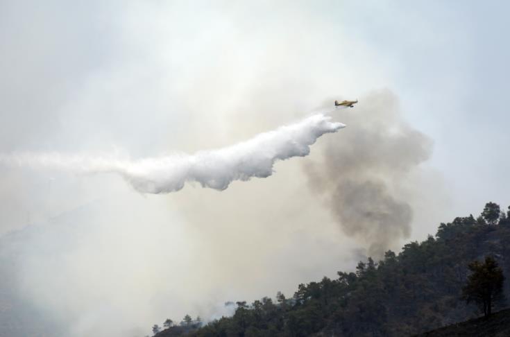 Εισφορά Κατεχόμενων Δήμων για δεντροφυτεύσεις και αναδασώσεις στις πυρόπληκτες περιοχές