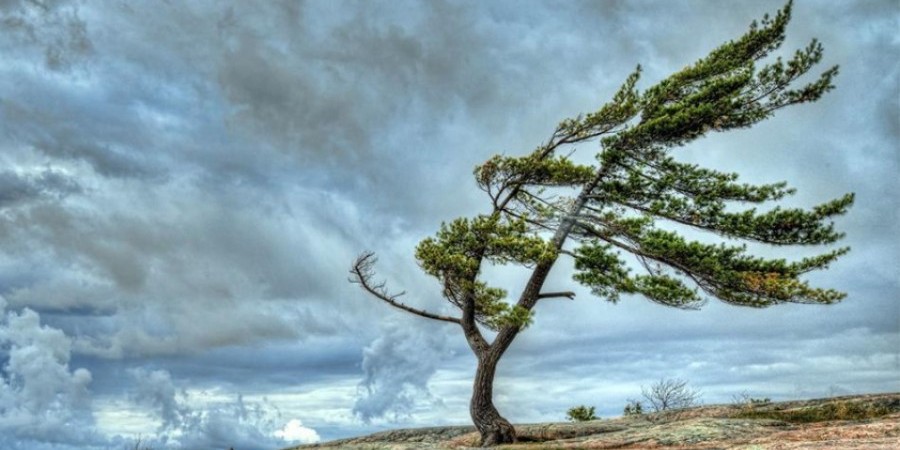 58bc0da429aad57d00bd4d2033232910