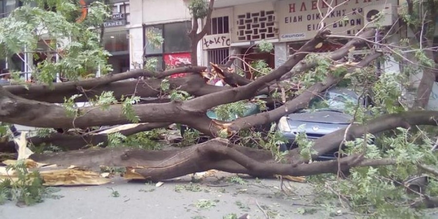 9d5a6e40d3695c88769c9ff63b653cbc