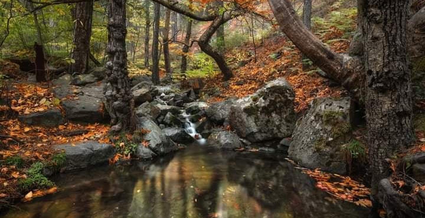 25 εικόνες βγαλμένες από παραμύθι από τη φθινοπωρινή Κύπρο