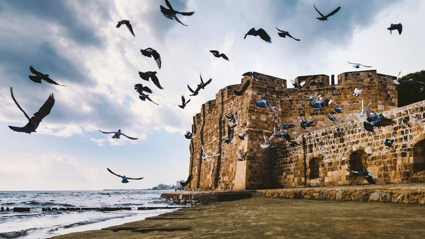 120119757_2799798296918108_747975327740140486_o