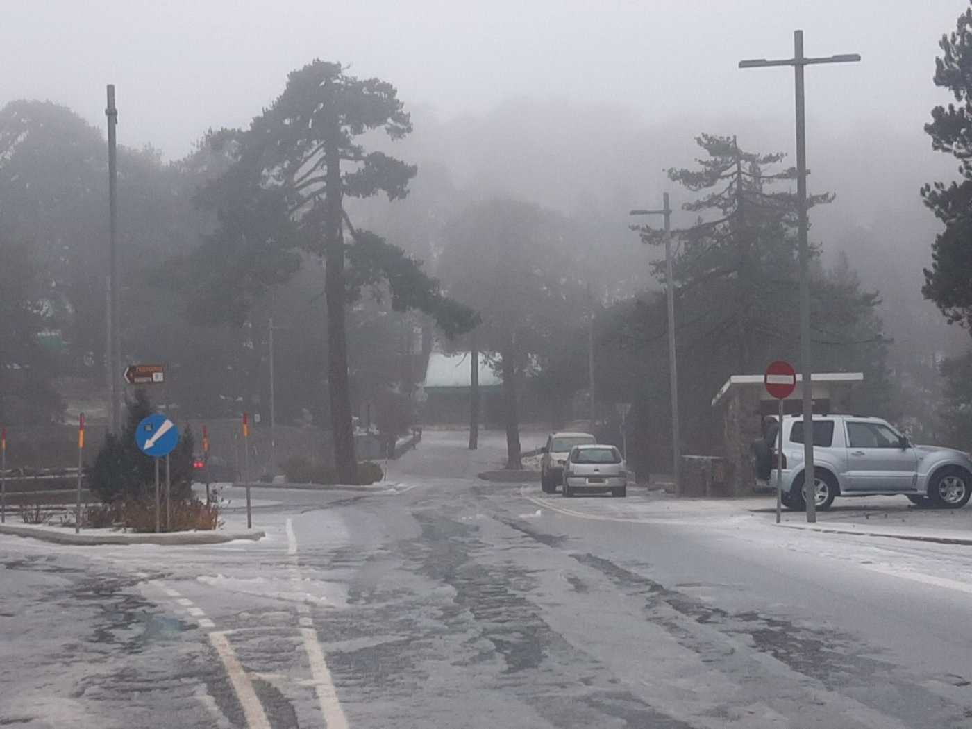 265303795_272251058276915_6755632945851037583_n