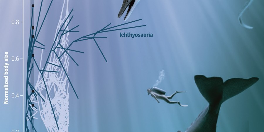 Ανακάλυψη παλαιοντολόγων: Οι θαλάσσιοι δράκοι υπήρχαν-Το πρώτο γιγάντιο ζώο