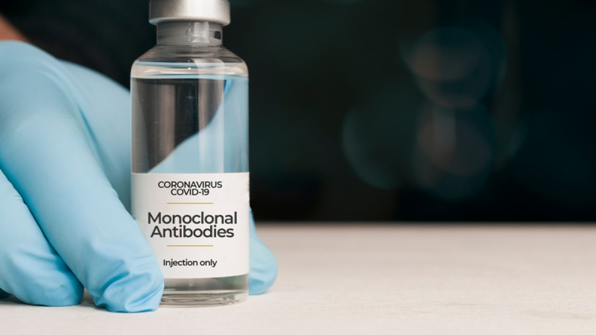 monoclonal_antibodies_monoklonika_shutterstock_1862484904