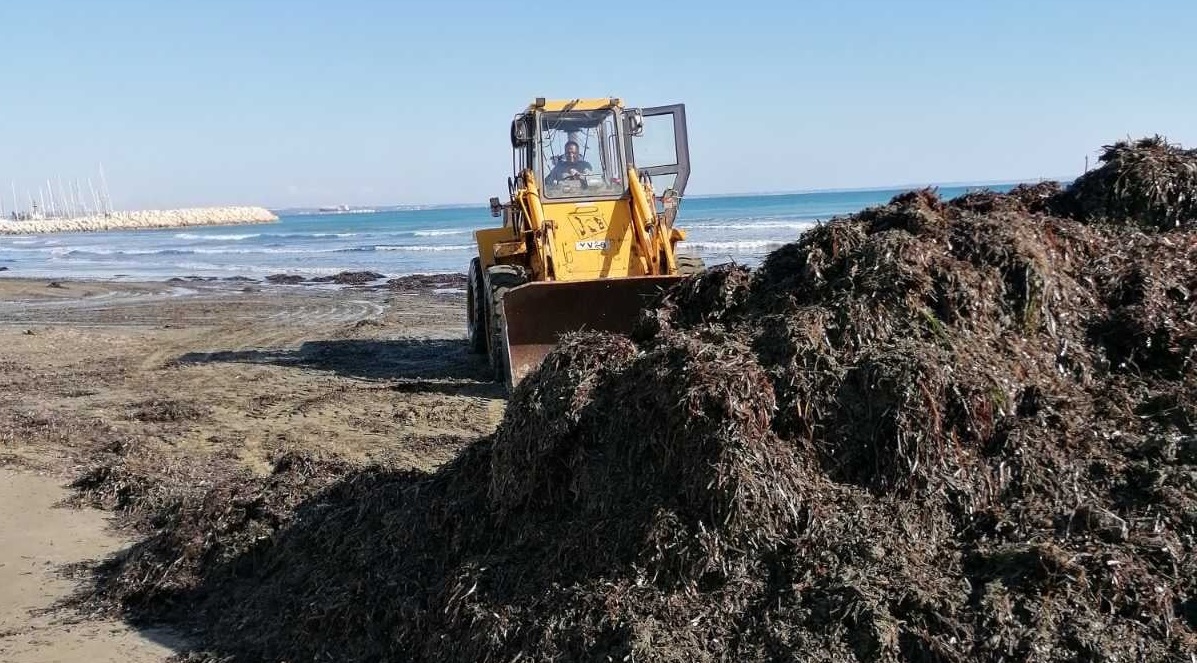Συνεχίζεται ο καθαρισμός και η απομάκρυνση φυκιών από τις παραλίες