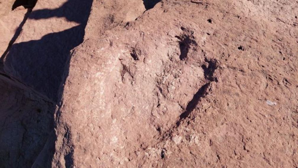 Tα ίχνη δεινόσαυρου που έζησε πριν από 200 και πλέον εκατ. χρόνια ανακαλύφθηκαν σε παραλία στην Ουαλία