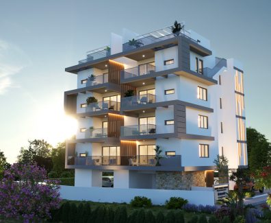 night-final-afri-sunshine-cam-9- copy