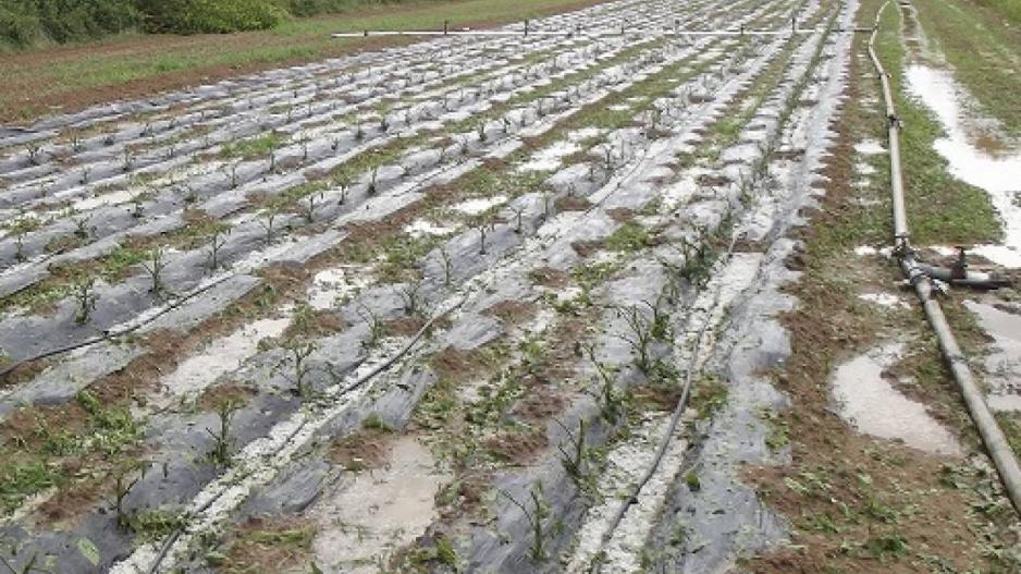 Άρχισε η καταγραφή των ζημιών για στήριξη των πληγέντων από καιρικά φαινόμενα