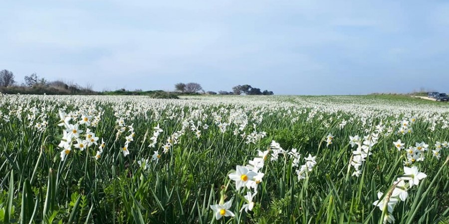 708042047e5a215a13cb7761fd35d9fd