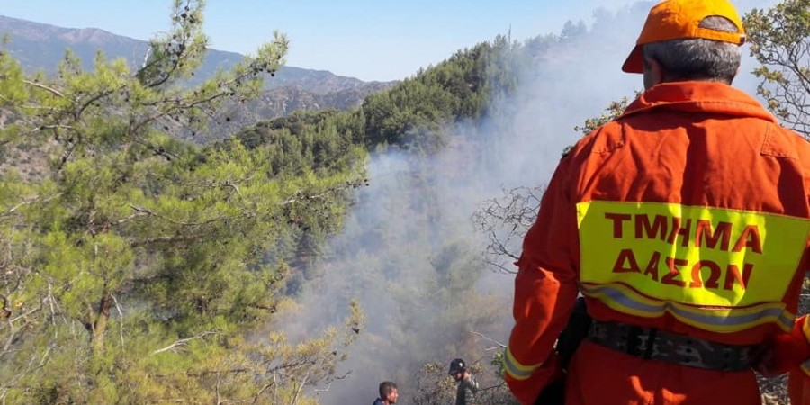 Τμήμα Δασών: Προχωρά σε απεργία και κλιμάκωση μέτρων λόγω υποστελέχωσης