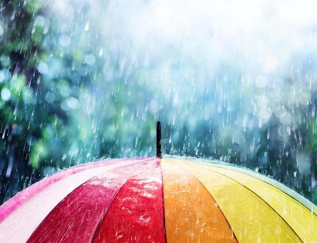 cache_1500x3000_Analog_medium_677729_546681_2832019_846986114