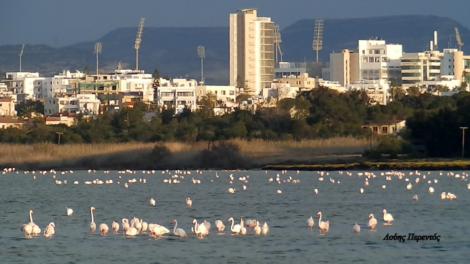 Η πρωινή ενημέρωση της ημέρας από τη Σκαλιώτισσα