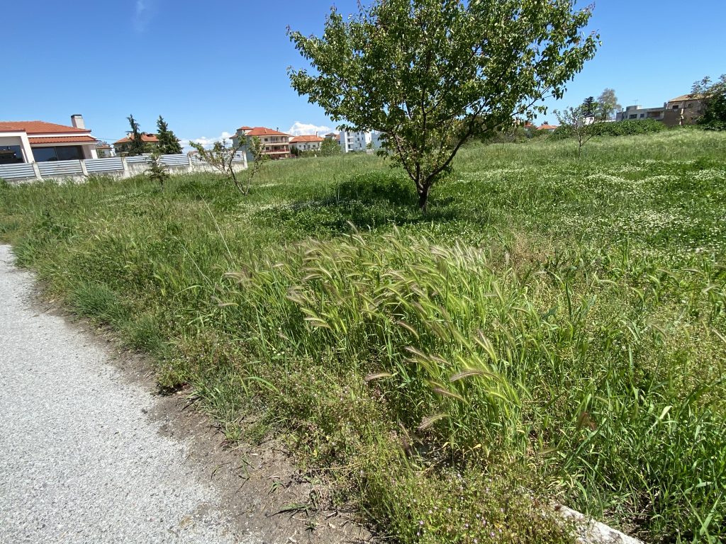 Ανακοίνωση του Δήμου Λάρνακας για καθαρισμό οικοπέδων και ανοικτών χώρων