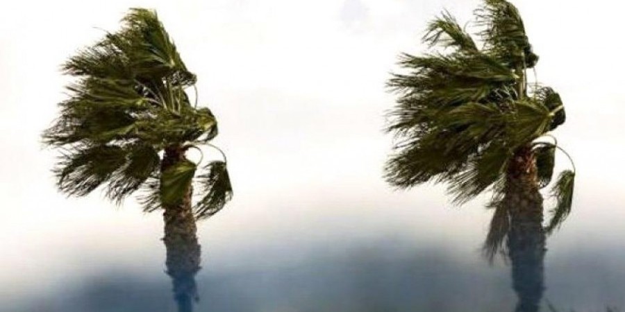 be490da87c9710c957a5b58ea7102e4f