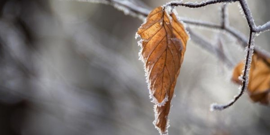 Πότε αναμένεται να υποχωρήσει το ψύχος – Αναλυτικά η πρόγνωση