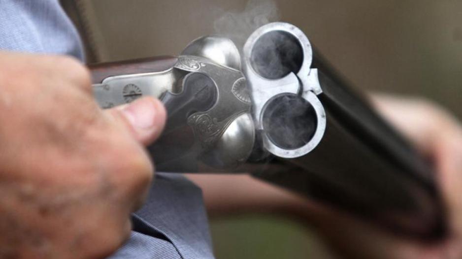 Λάρνακα: Πήρε το κυνηγετικό και πυροβόλησε σκύλο