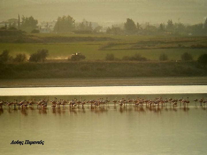 127762165_3837527546265643_996950355361163497_o