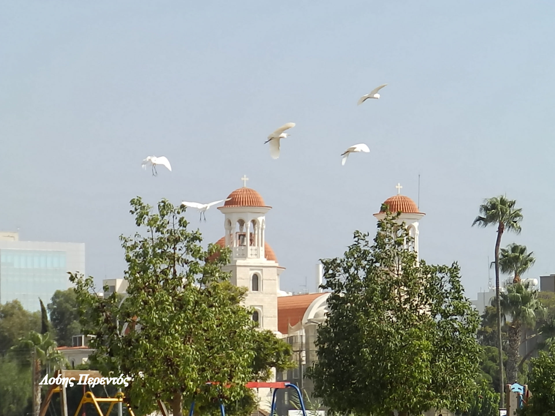 243570876_4734823349869387_2031040497797000874_n