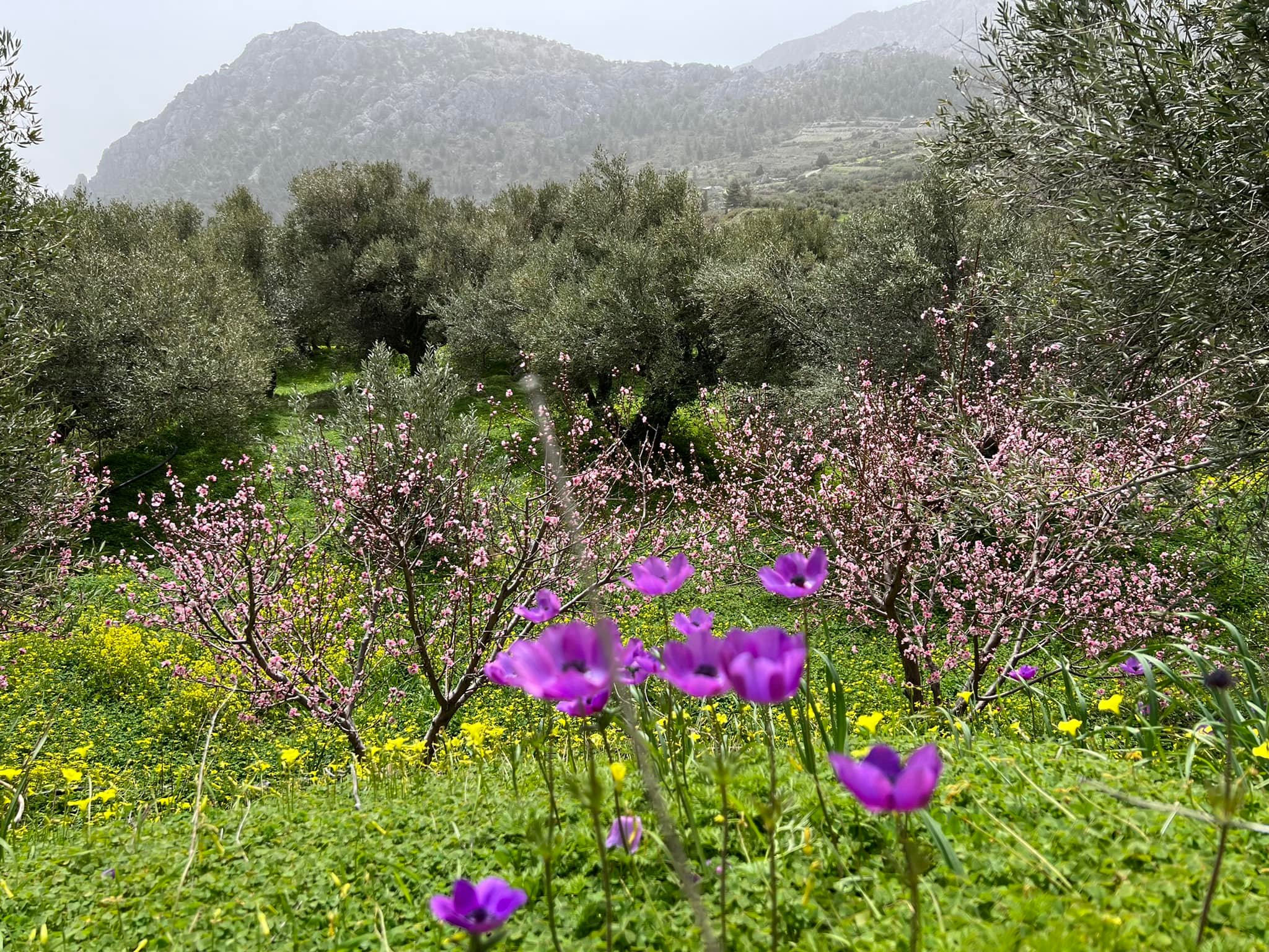 Αίθριος σήμερα ο καιρός – Η πρόγνωση μέχρι την Παρασκευή