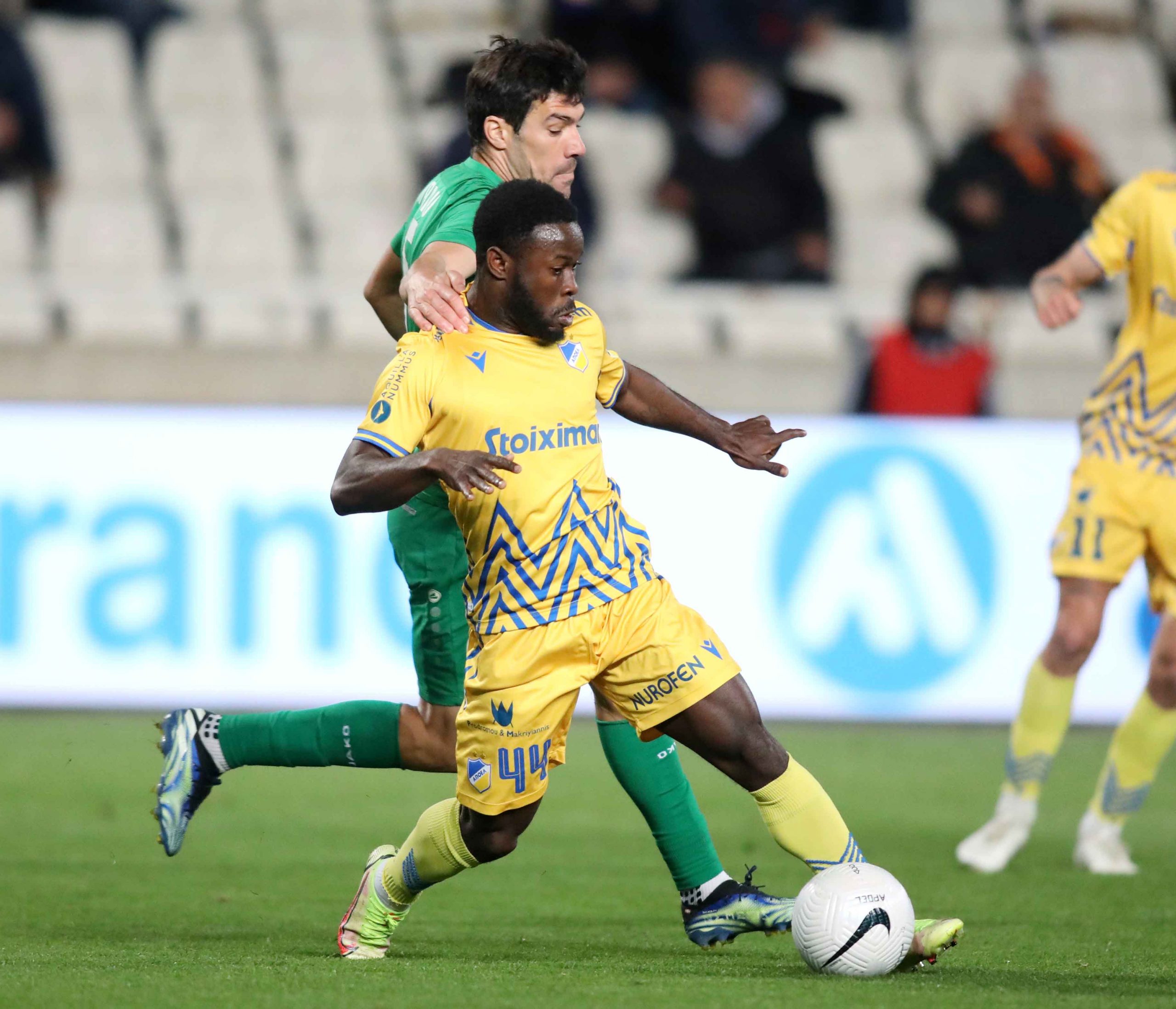 arisapoel