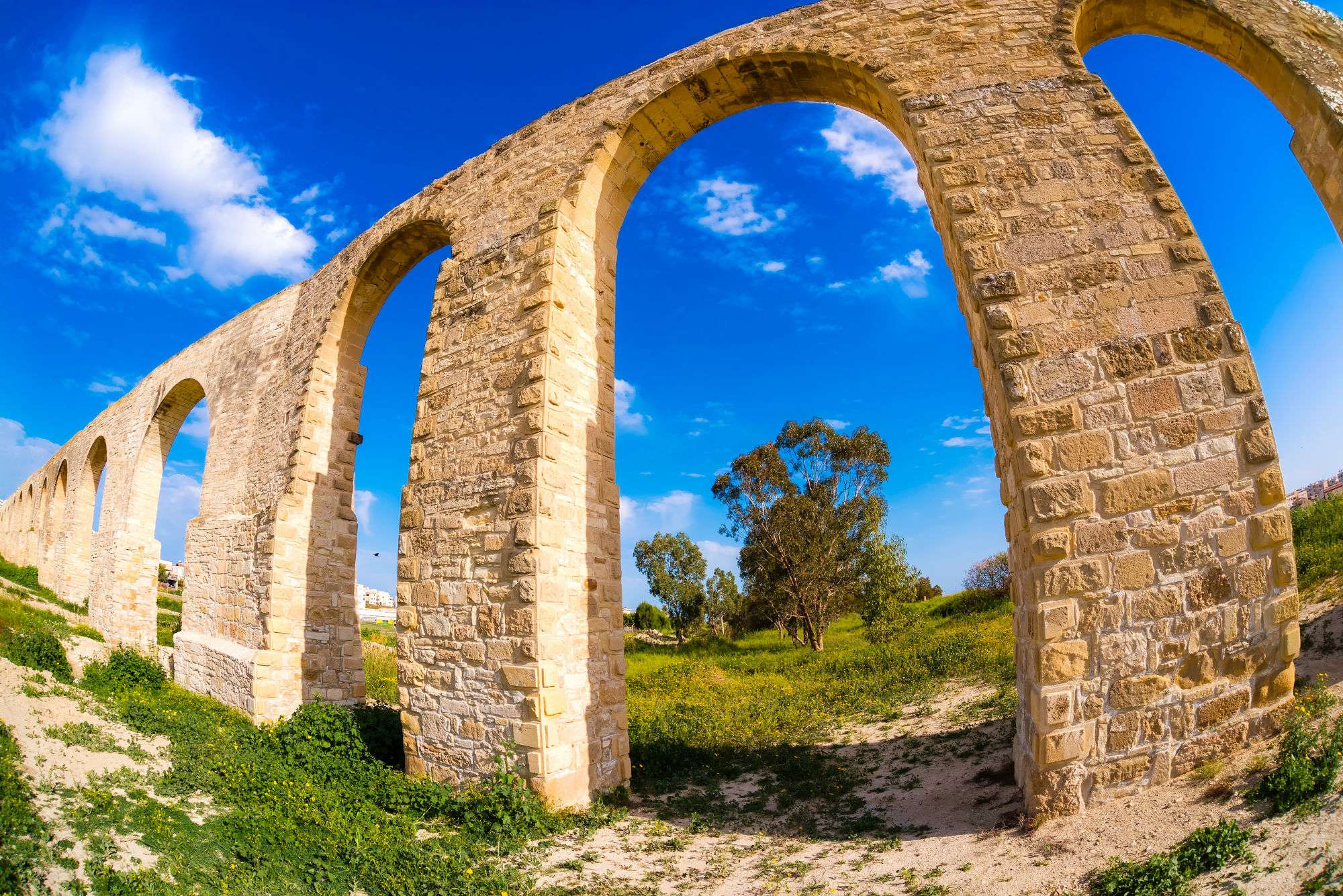 Η πρωινή ενημέρωση της ημέρας από τη Σκαλιώτισσα