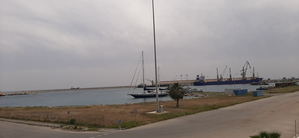 Έντονη ανησυχία κτηνοτρόφων για ελλείψεις σόγιας στη Κύπρο – Το πλοίο δεν μπορεί να εισέλθει στο λιμάνι Λάρνακας