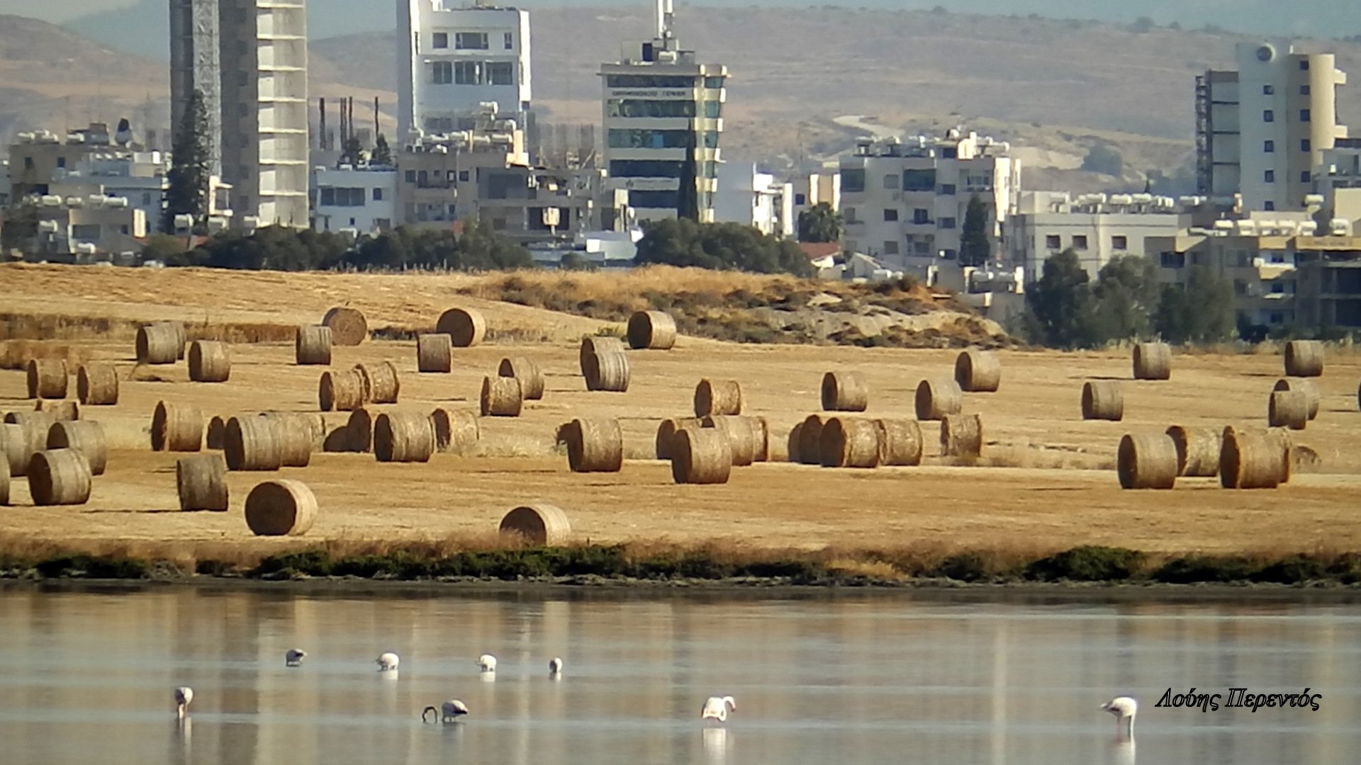 Η πόλη, το θέρος, η αλυκή, όλα κοντά σε μια πόλη που θέλει αγάπη