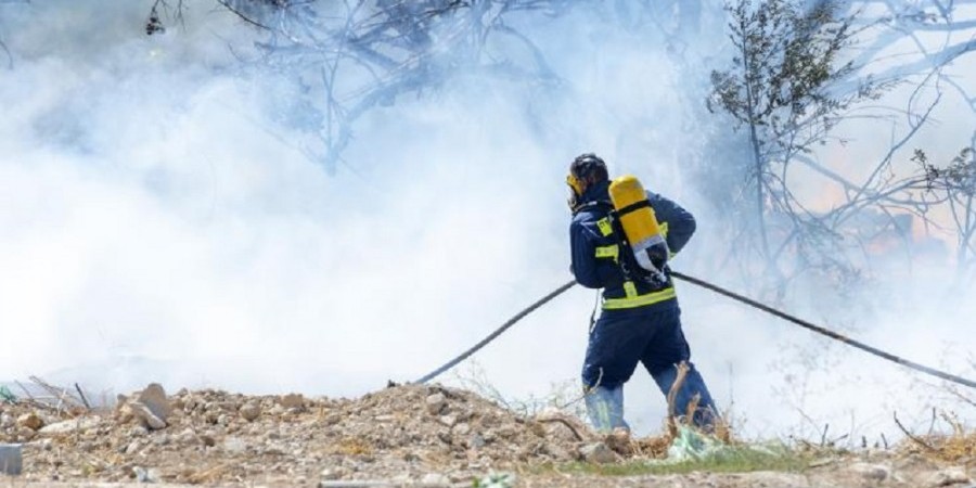 Δασική πυρκαγιά στην κοινότητα Κοφίνου