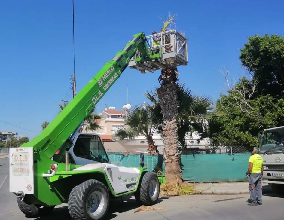 242168277_1238286716584211_7472827856817417207_n