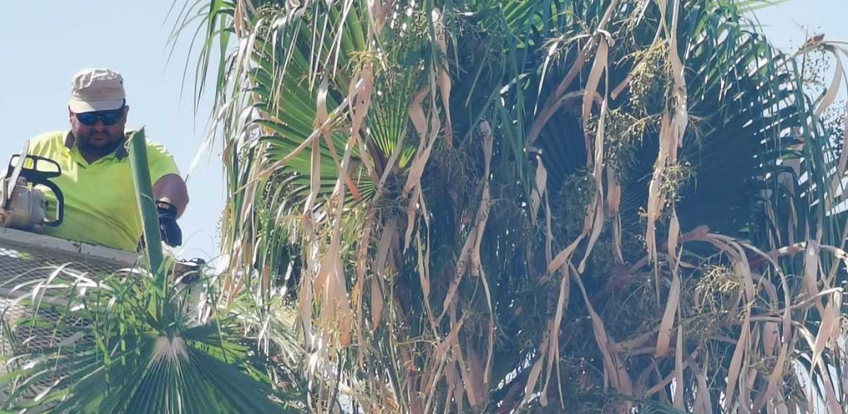 Χωρίς τίτλο