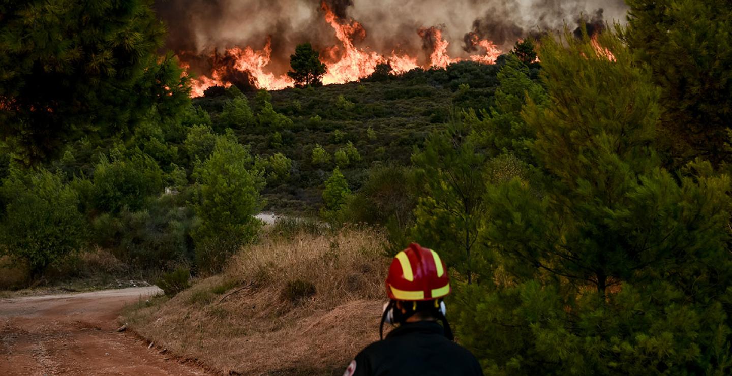 Ετοιμάζονται Μνημόνια Συναντίληψης Κύπρου – Ισραήλ για αντιμετώπιση πυρκαγιών
