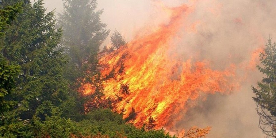 Υπό πλήρη έλεγχο η φωτιά στη Μοσφιλωτή – Κινδύνευσαν κατοικίες