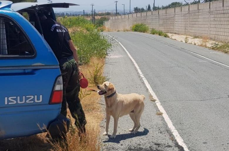 Φόνος Πογιατζή: Ελεύθεροι 3 κατηγορούμενοι