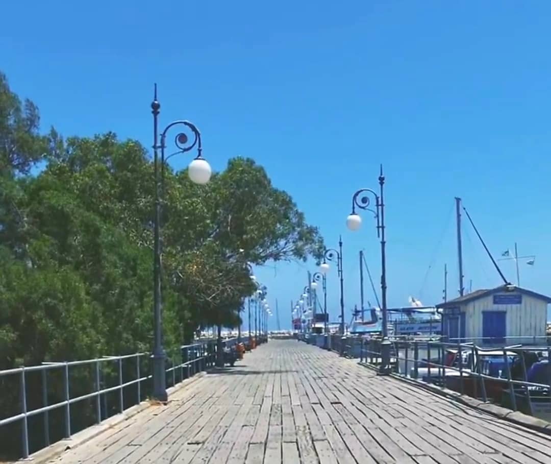 295929928_774187010677064_6883791750486039677_n